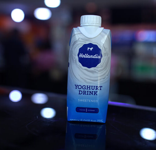 HOLLANDIA YOGURT SMALL (315 ML)