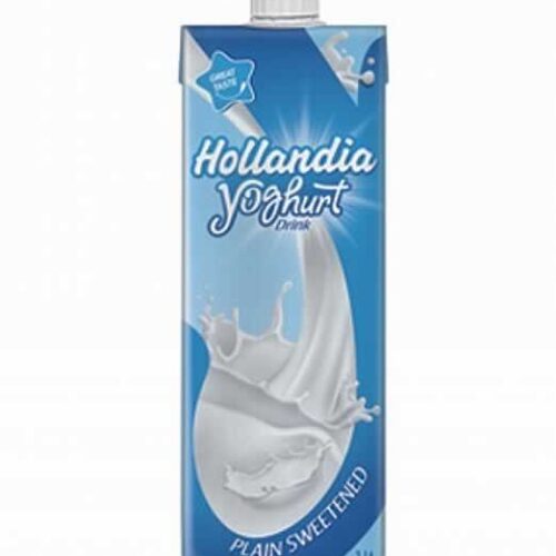 HOLLANDIA YOGURT BIG (1 LITRE)